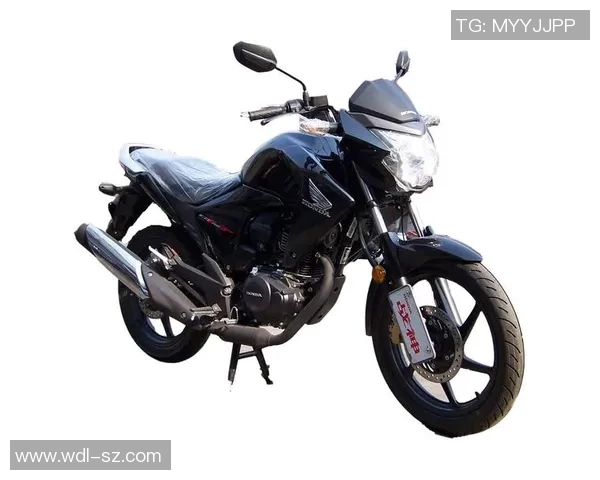 小齐，无坚不摧的后防战神