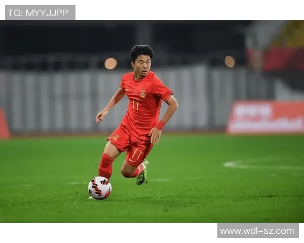 河南省女足球队明星球员阵容揭秘 助力中国足球崛起的希望之星